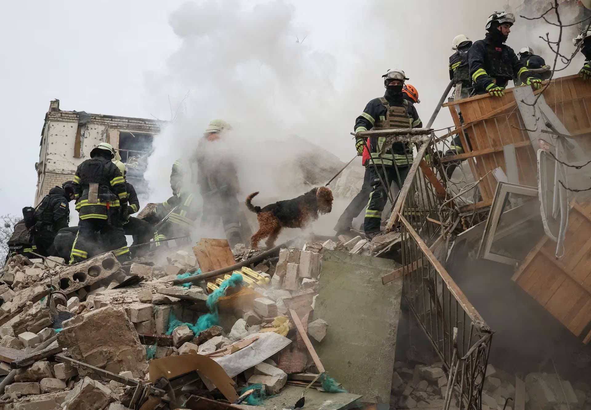 Rescuers with a dog work at a site of a residential building heavily damaged during a Russian missile attack in Kharkiv
