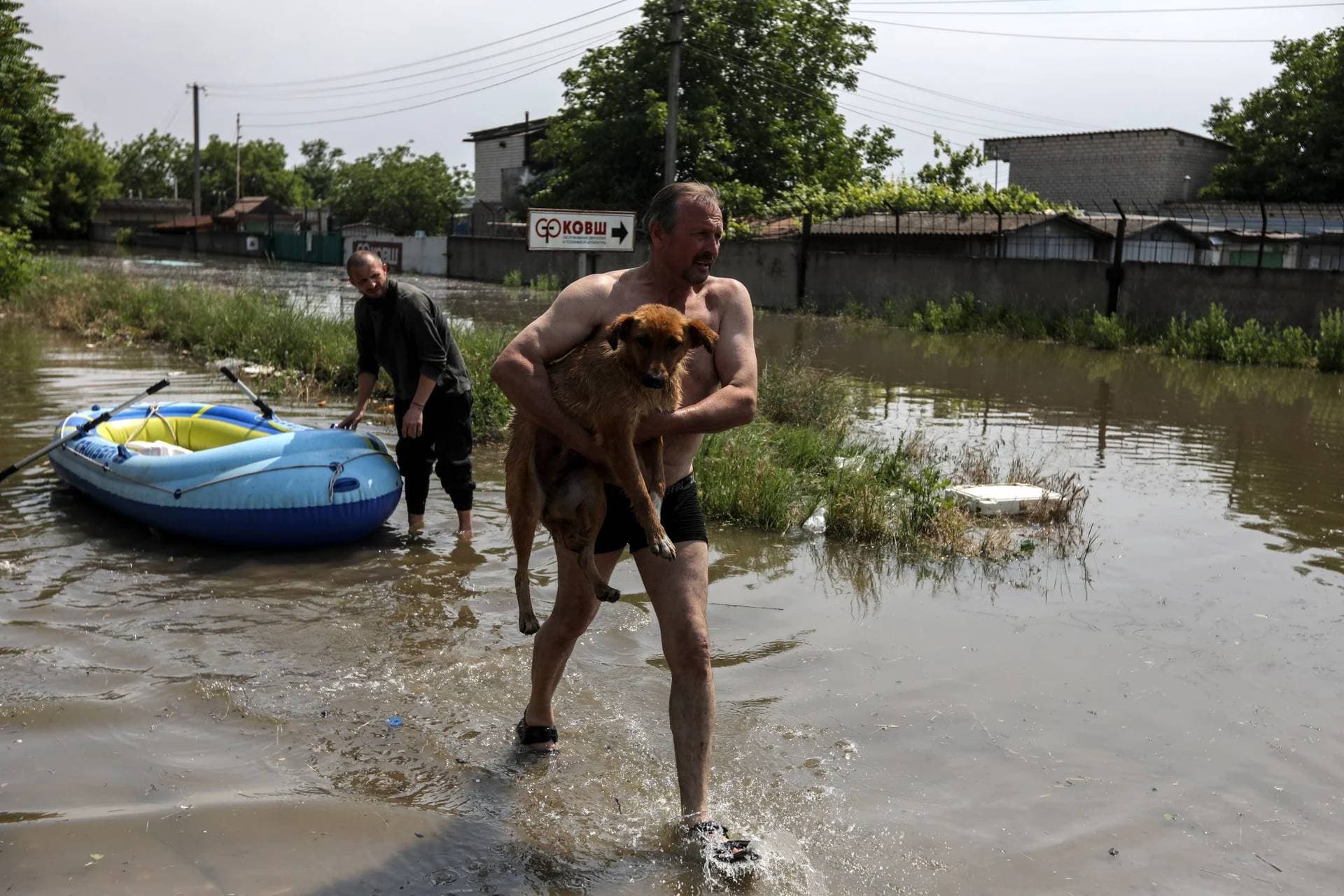 Local residents save animals from a flooded area of Kherson