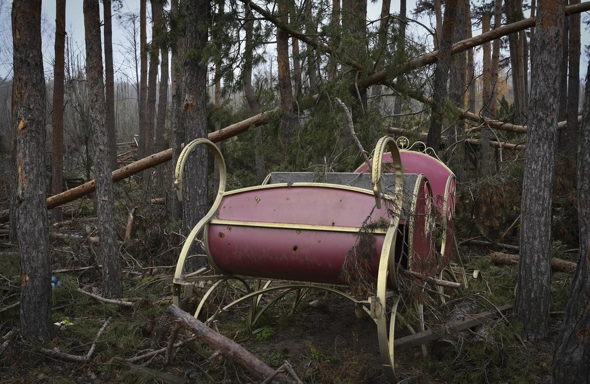 A pleasure cart is seen in the forest in the recently recaptured village of Yampil