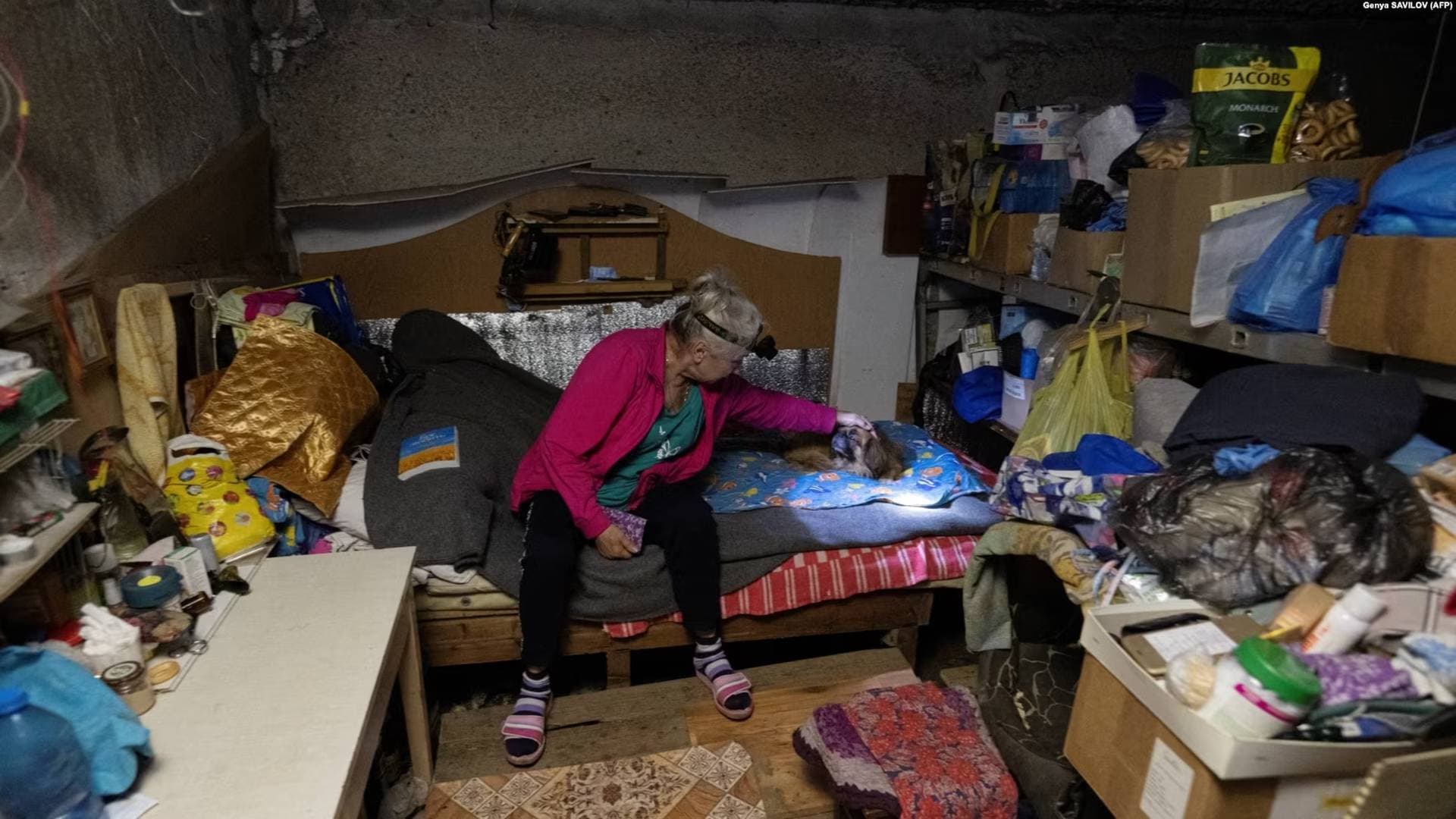 A woman pets a dog in the cold, dark cellar where she lives