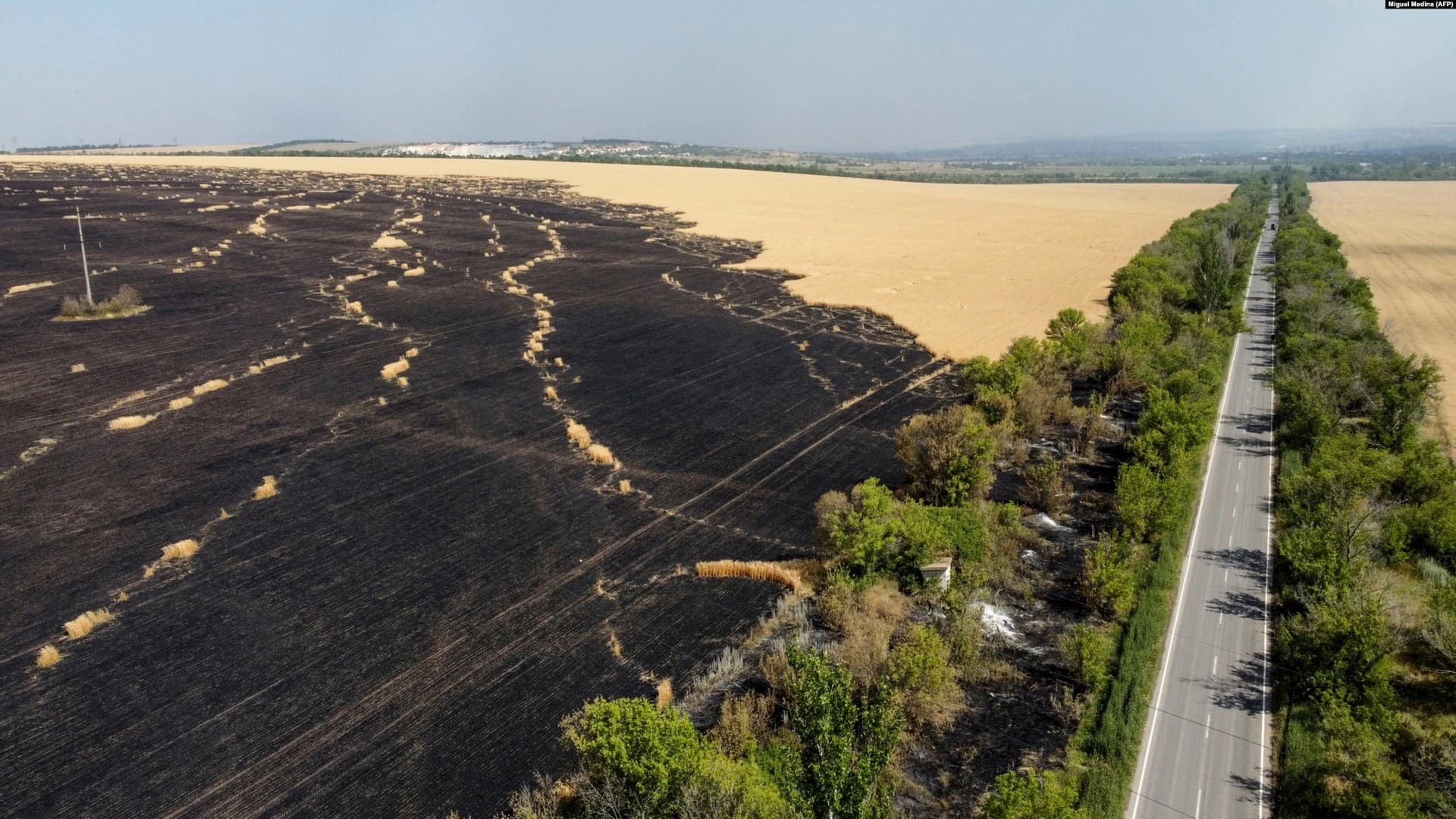 An aerial photo taken on July 8 shows the widespread destruction of a wheat field near Siversk in the Donetsk region