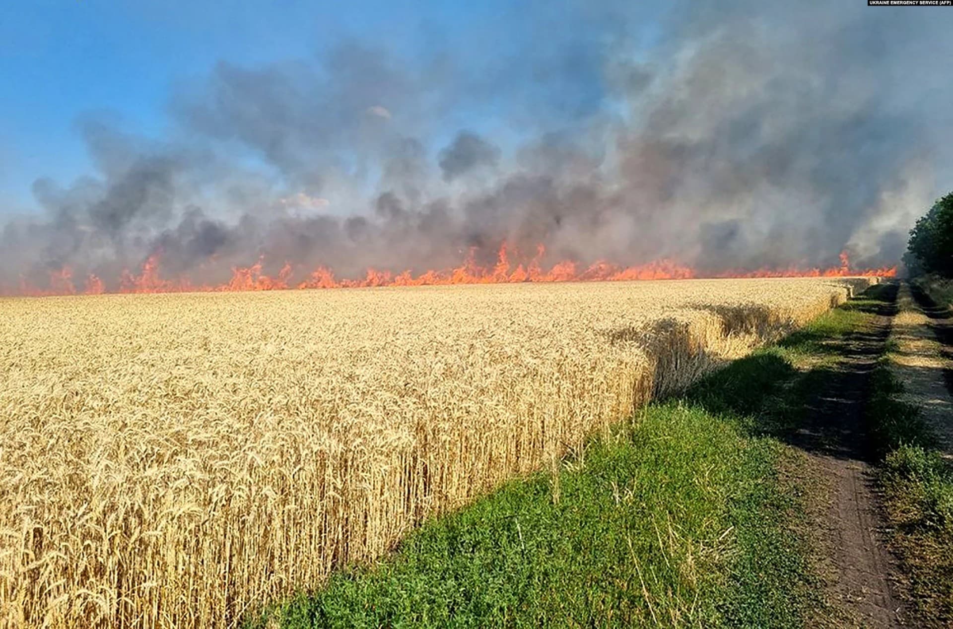 A line of fire blazes through a wheat field in the Mykolayiv region on July 17