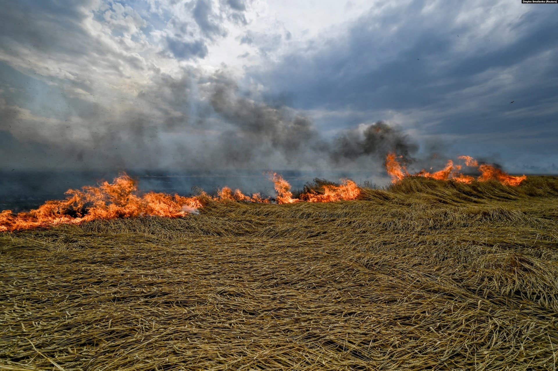 Ukrainian wheat burning in eastern Ukraine on July 17