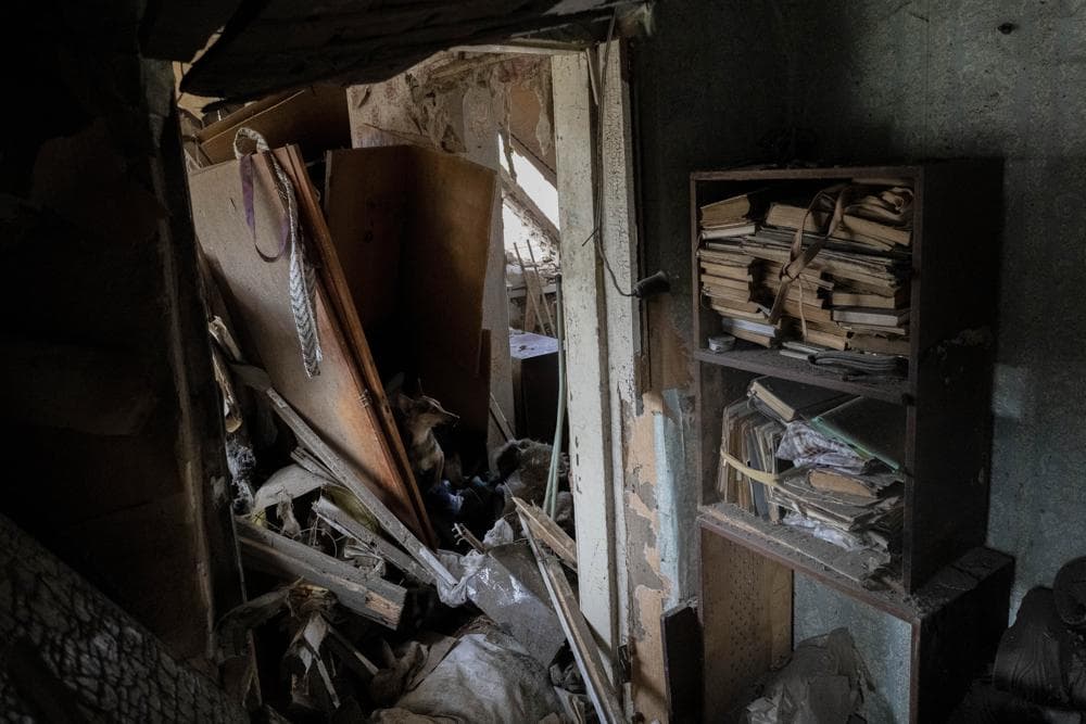 A dog sits inside a house damaged after a missile strike in Druzhkivka