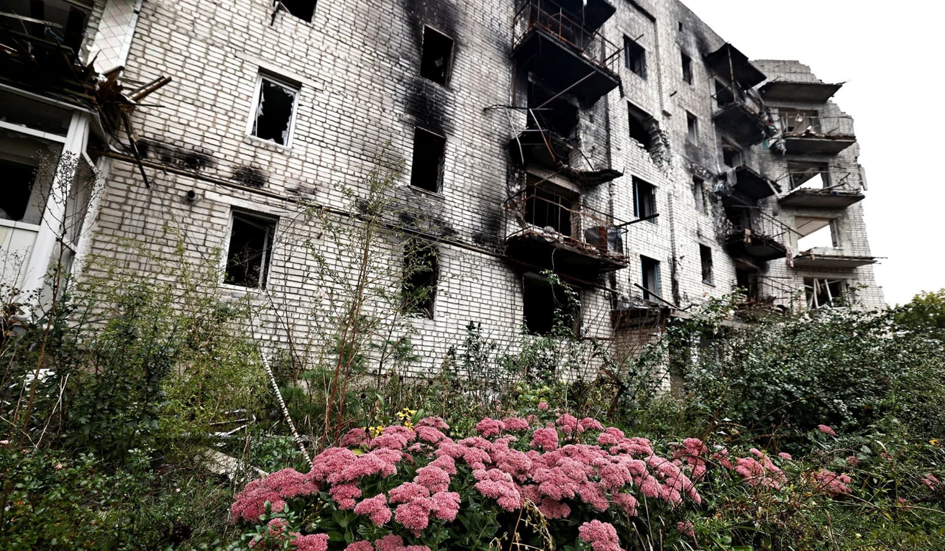 Flowers beside a destroyed building in the recently liberated town of Izium