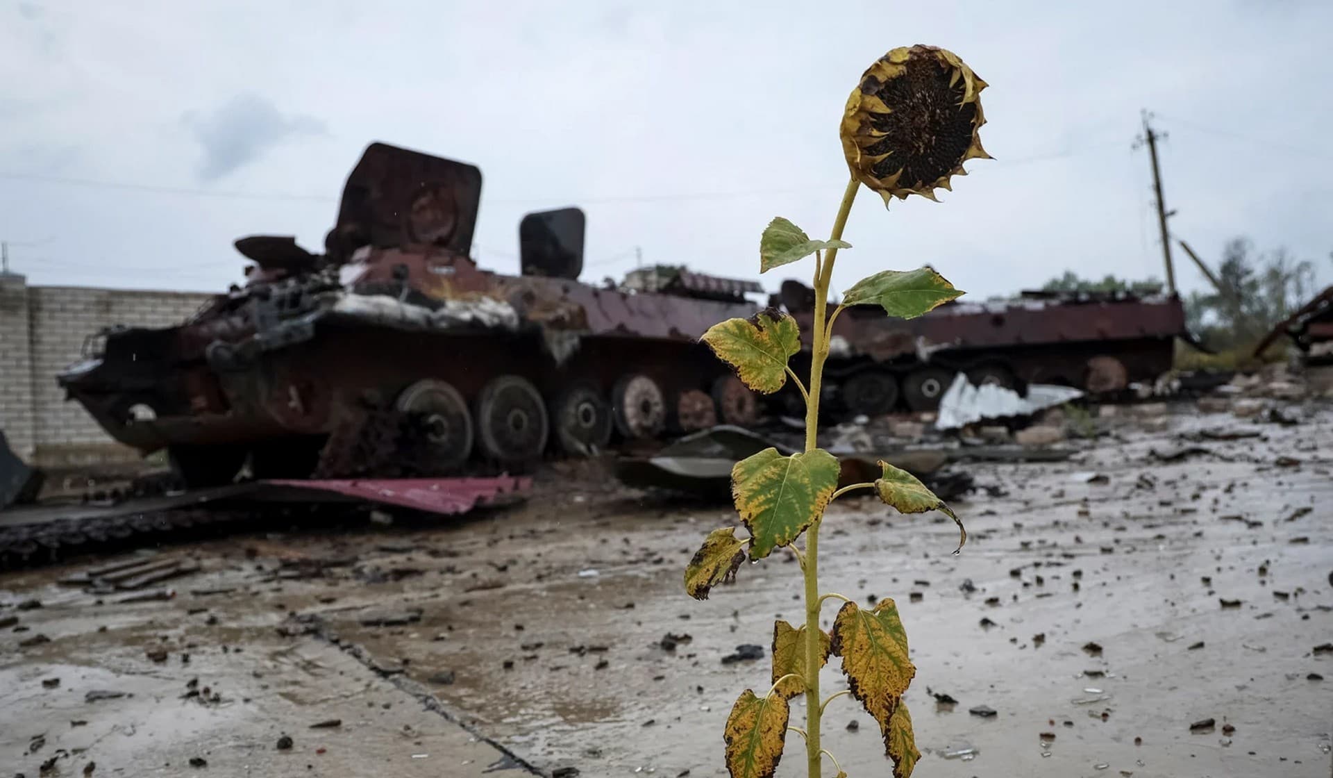 A destroyed Russian armored personnel carrier near the village of Nova Husarivka
