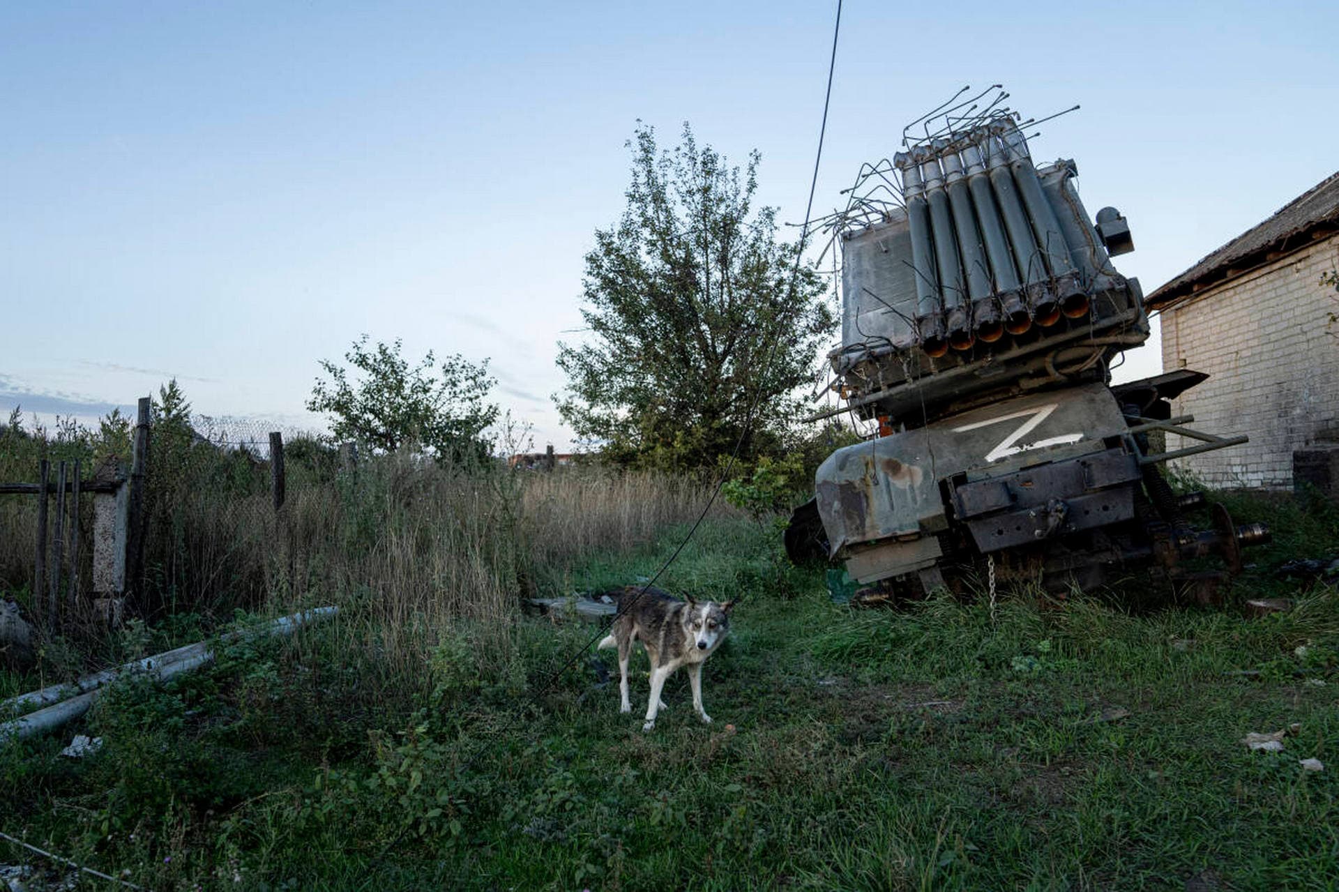 A dog walks in front of destroyed Russian MSLR BM-21 Grad in the recently retaken area of Kamyanka