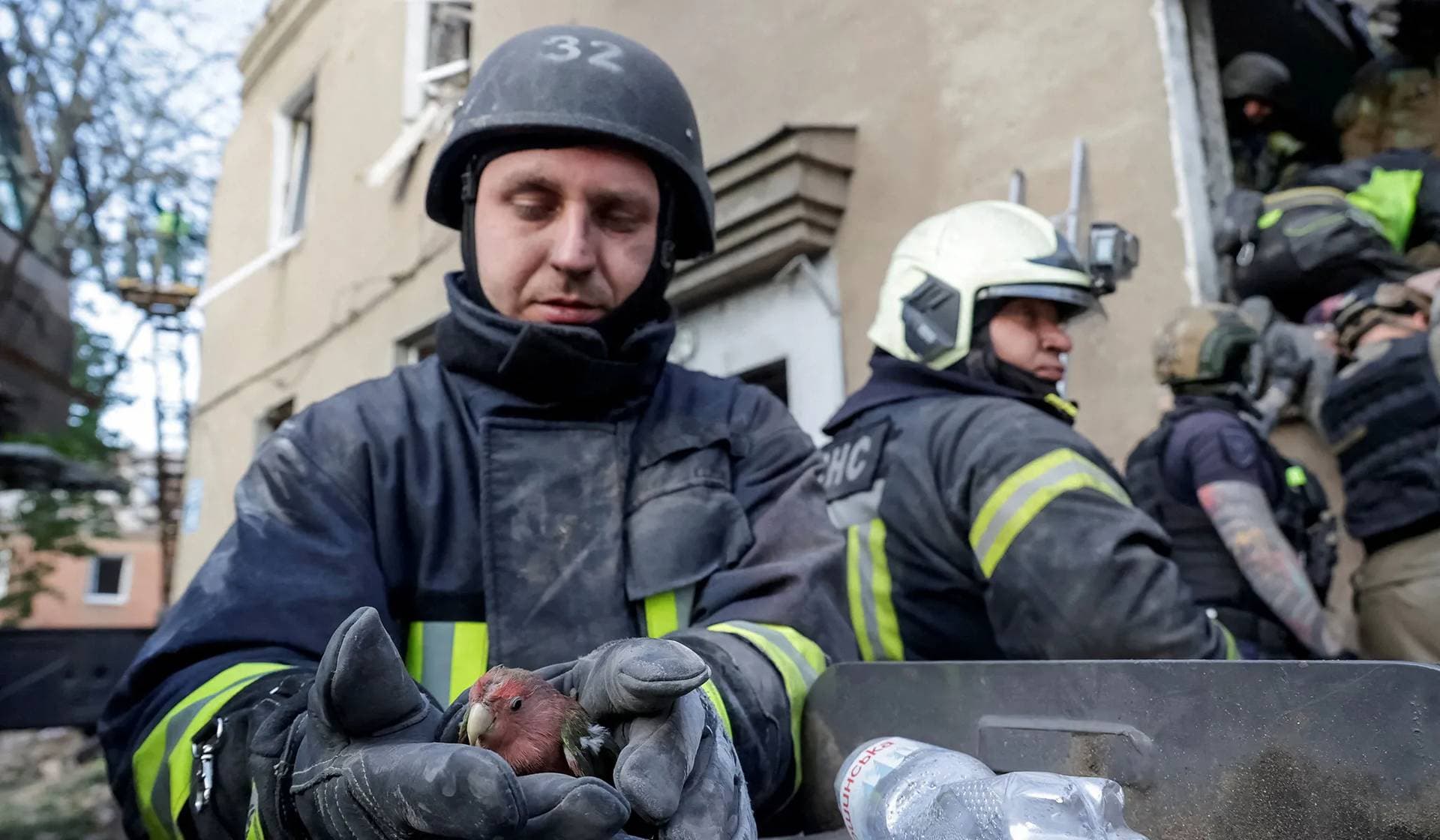 A rescuer holds a parrot found under debris of an apartment building hit by a Russian air strike in Kharkiv