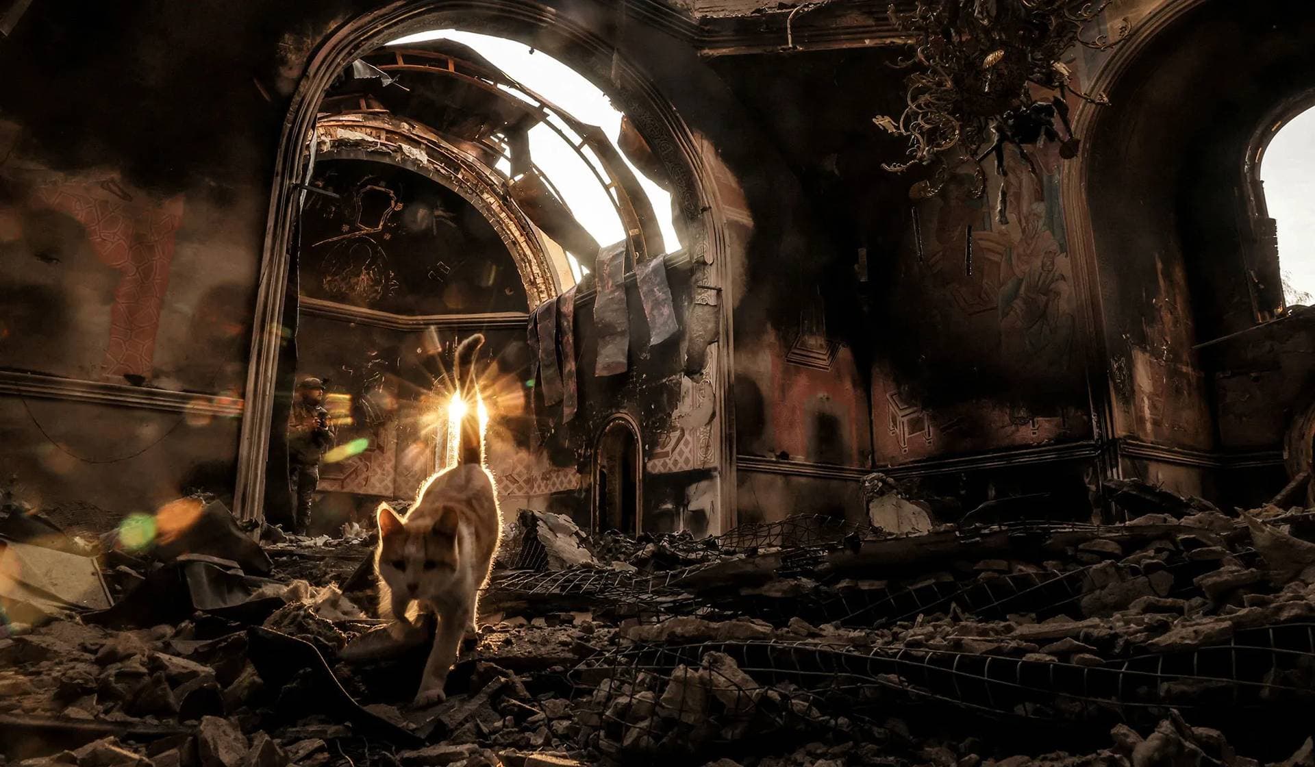 A cat walks on debris in a church damaged by Russian military strike in the frontline town of Kostiantynivka