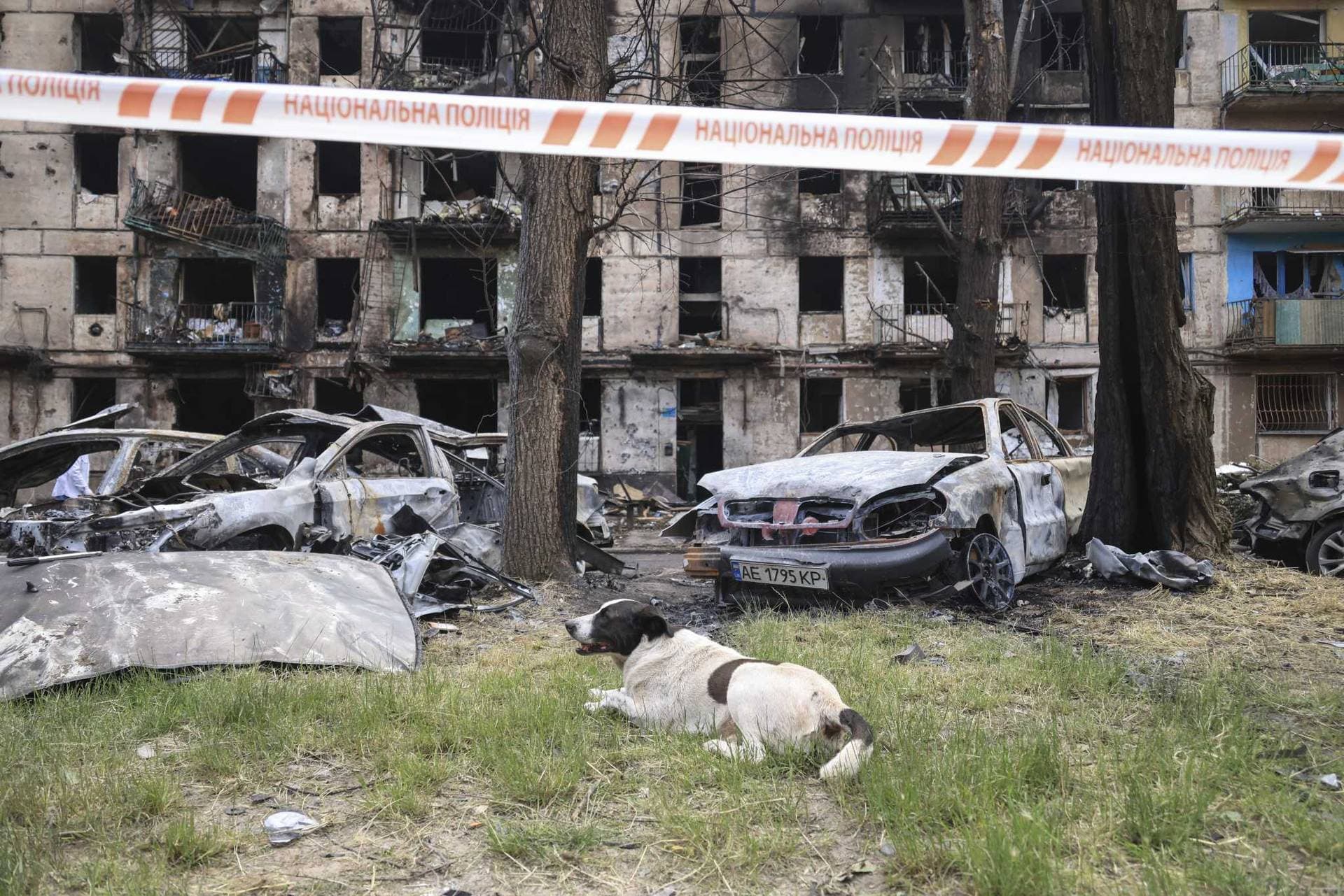 A scene of the latest Russian rocket attack that damaged a multi-storey apartment building in Kryvyi Rih