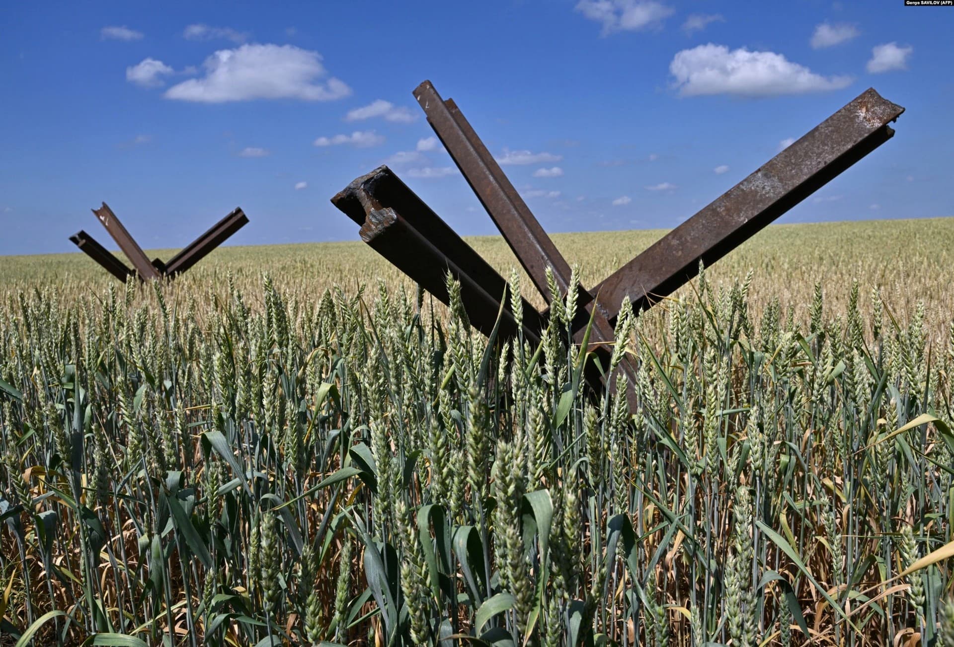 Anti-tank hedgehogs sit in a wheat field in southern Ukraine's Mykolaiv region