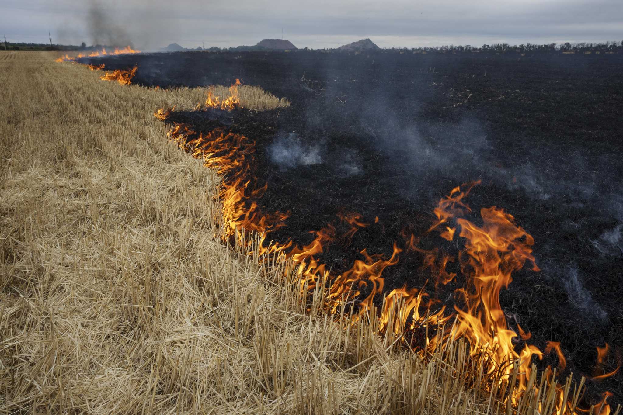 Grain fields burn, on the outskirts of Kurakhove